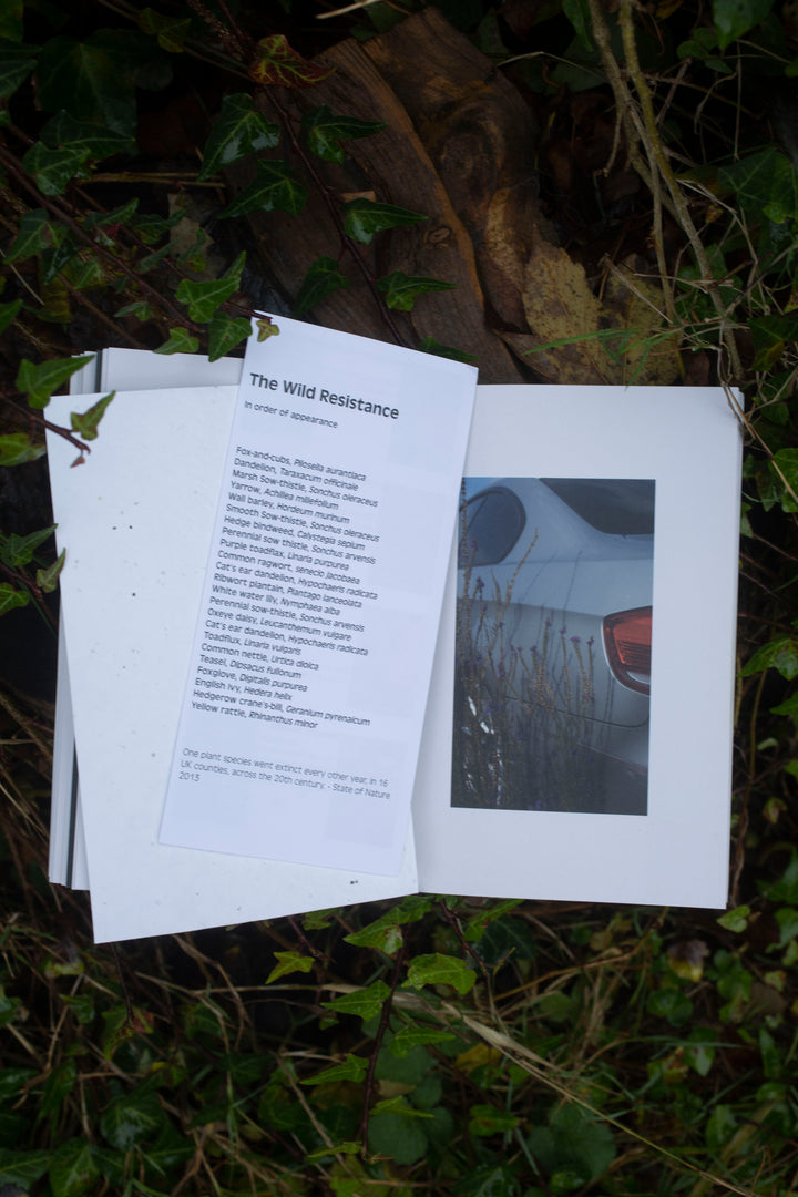 The Wild Ressistance by Alina Hibbert