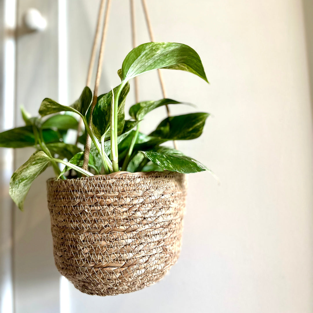 Seagrass Laos Straw Hanging basket