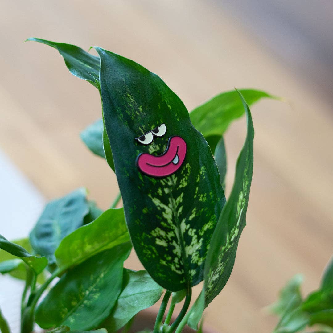 Goofy 3-Pack - 🌱 Plant Magnet 🧲