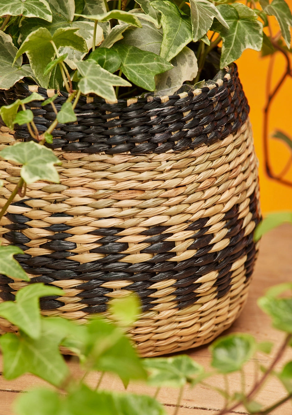 Black Natural Seagrass Planter