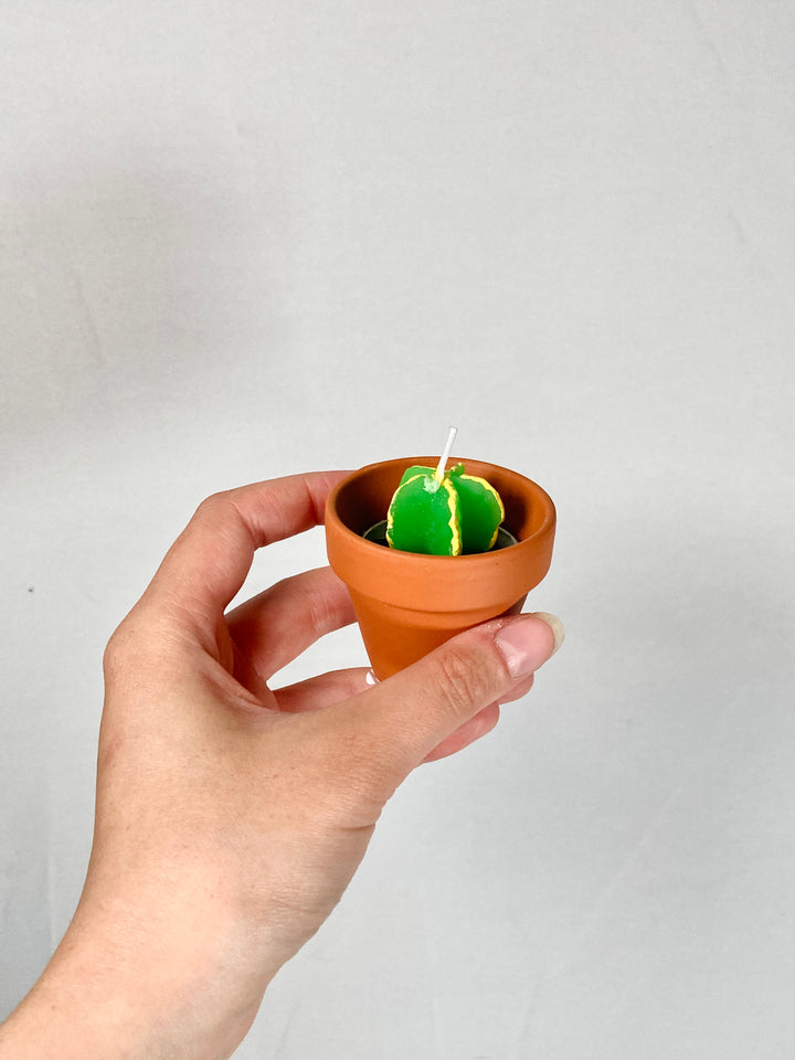 Mini Cactus candle