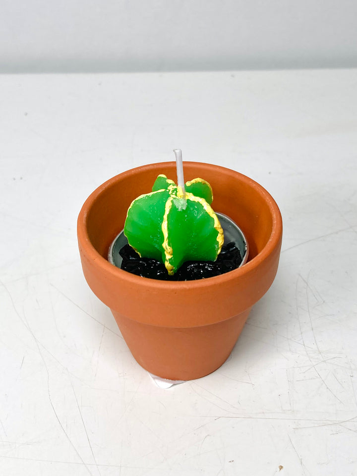 Mini Cactus candle