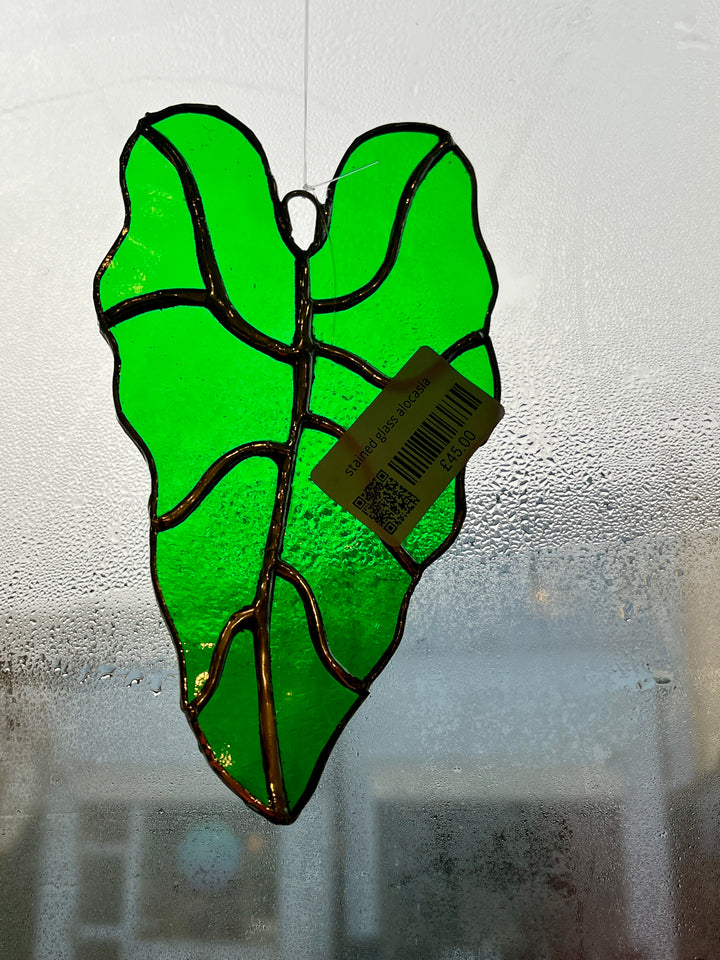 Stained Glass Alocasia
