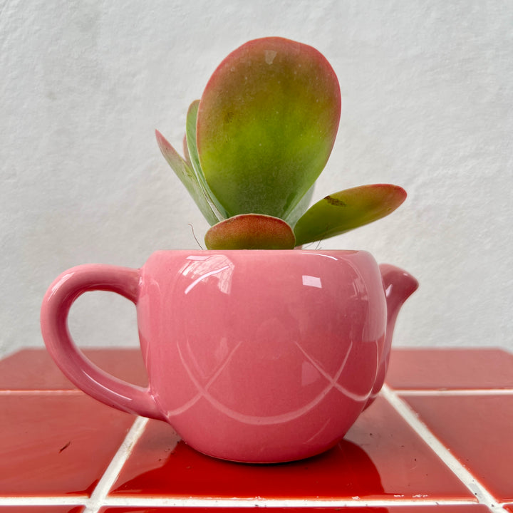 Mini Pink Ceramic Tea pot Pot – 10cm