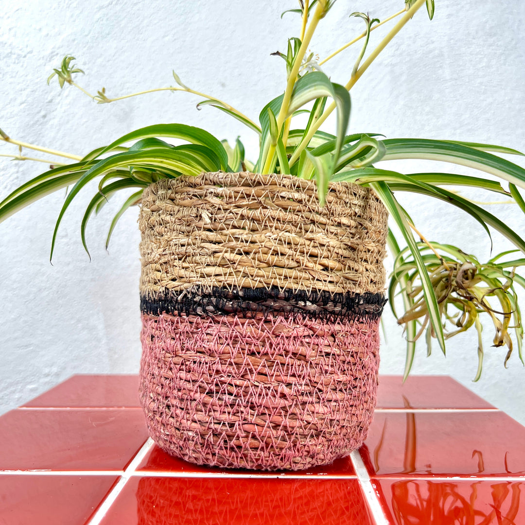Pien Pot D12.5 x H12cm – Natural & Pink Basket Pot