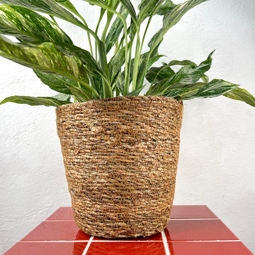 Terima Basket – Natural Seagrass Planter