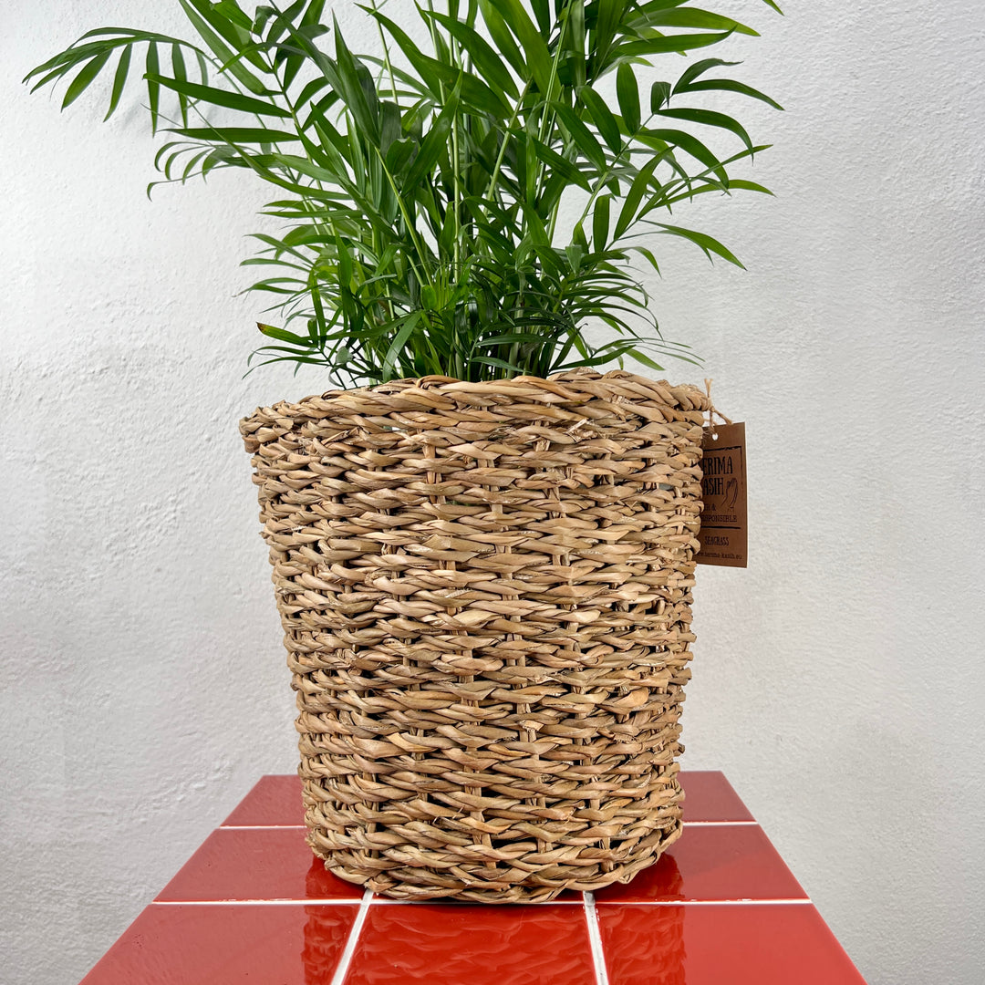 Terima Basket – Natural Seagrass Planter