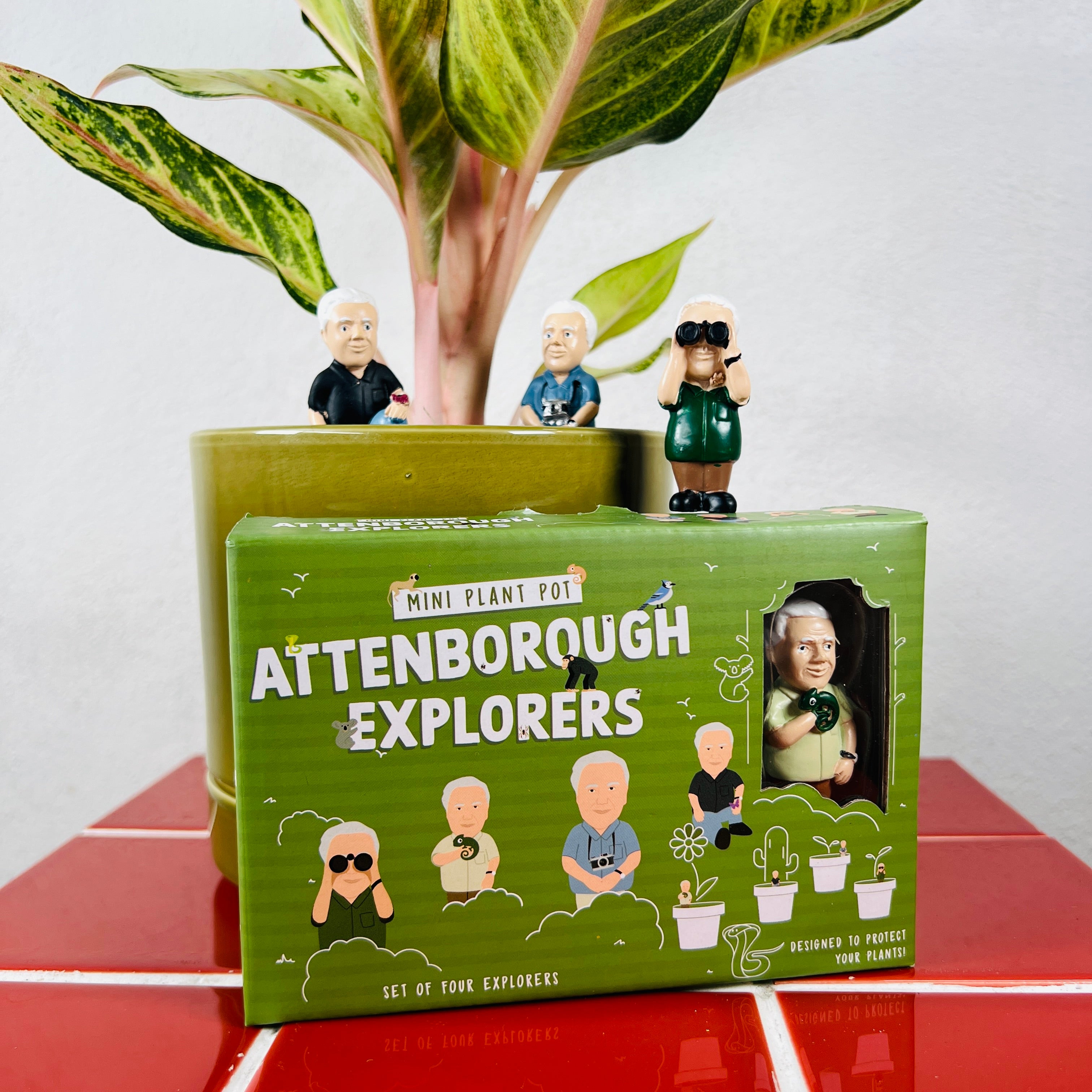 Mini Plant Pot Attenborough Explorers – Set of 4