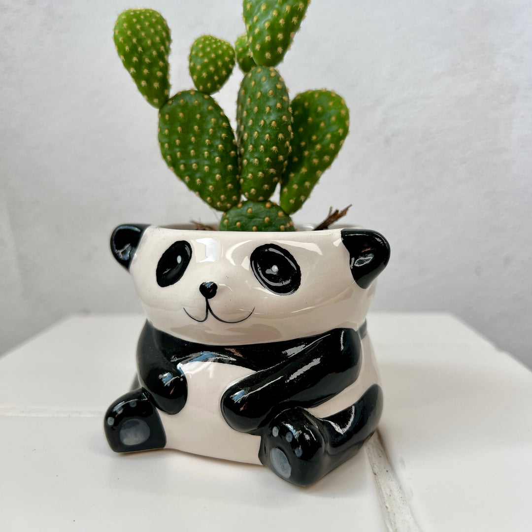 Mini Panda Ceramic Pots 8cm