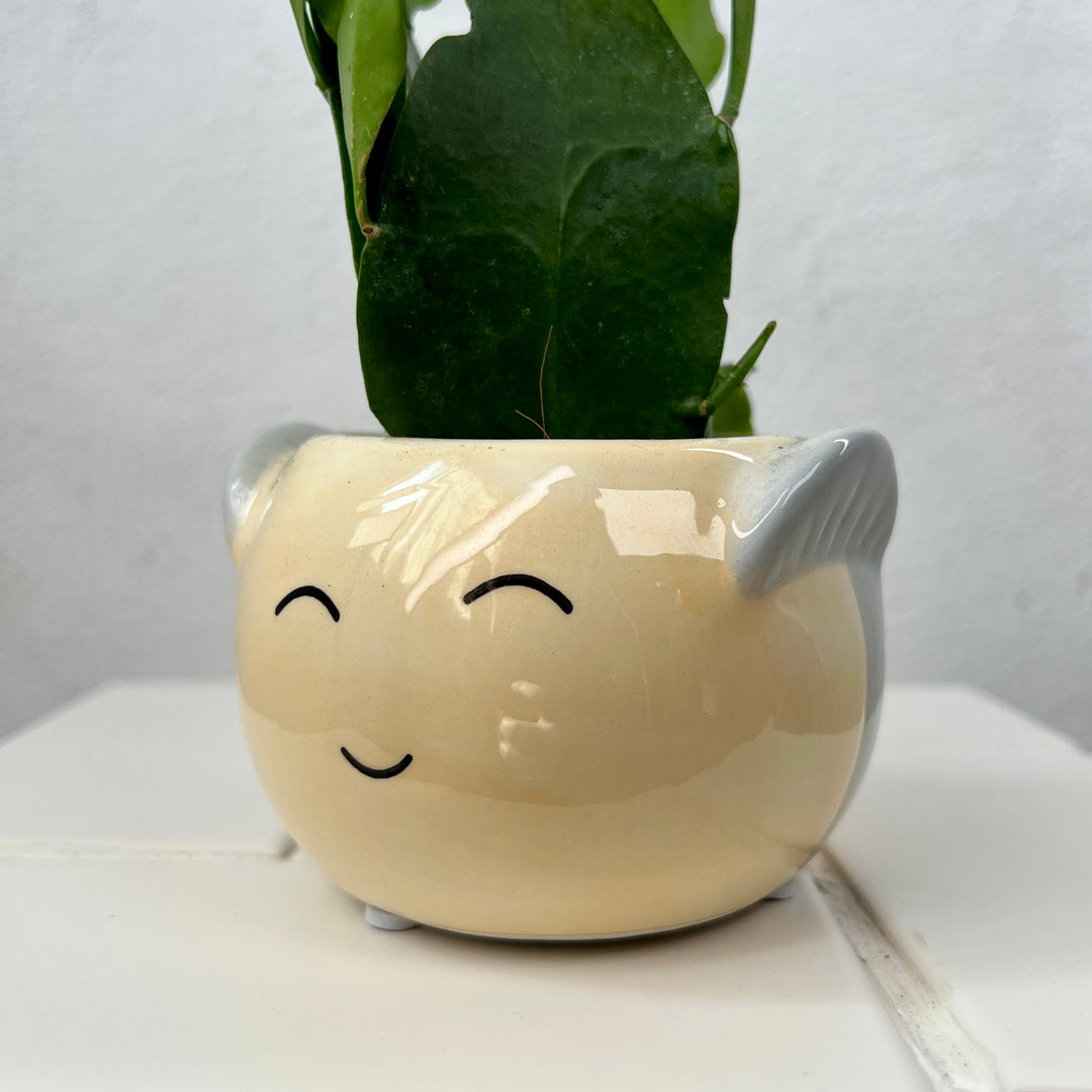 Mini Ceramic Happy Day Pot
