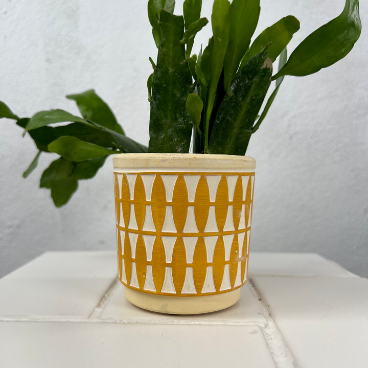 Mini Patterned Ceramic Pot – 7.5cm (Yellow or Pink)