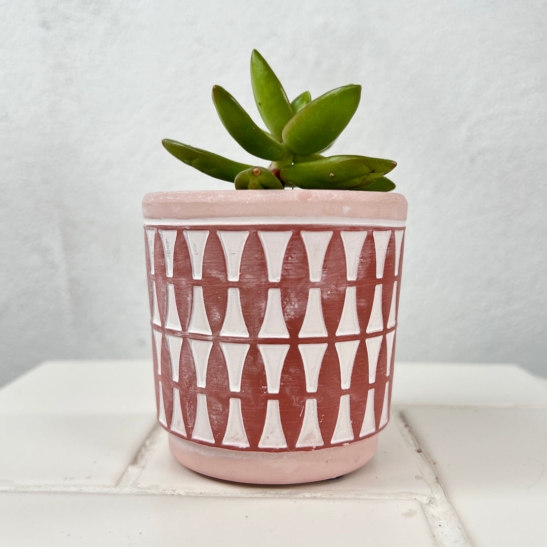 Mini Patterned Ceramic Pot – 7.5cm (Yellow or Pink)