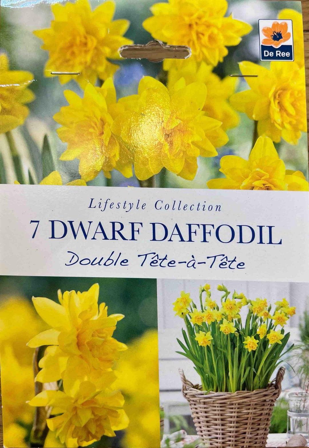 Spring Bulbs – Mix & Match | £3.99 each or 3 for £10