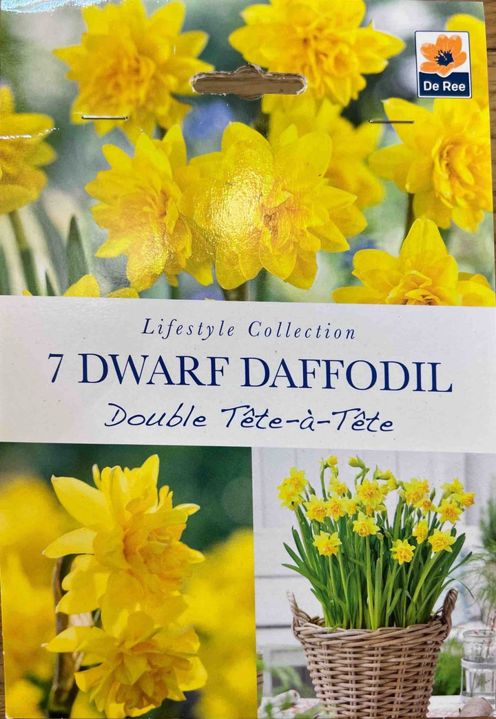 Spring Bulbs – Mix & Match | £3.99 each or 3 for £10