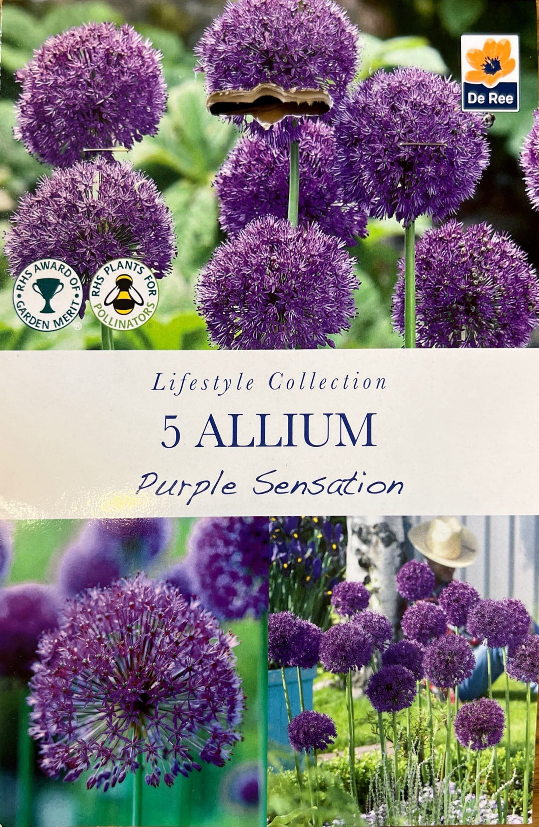 Spring Bulbs – Mix & Match | £3.99 each or 3 for £10