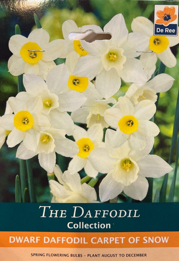 Spring Bulbs – Mix & Match | £3.99 each or 3 for £10