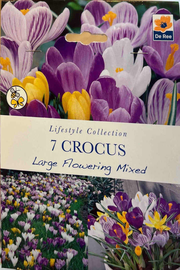 Spring Bulbs – Mix & Match | £3.99 each or 3 for £10