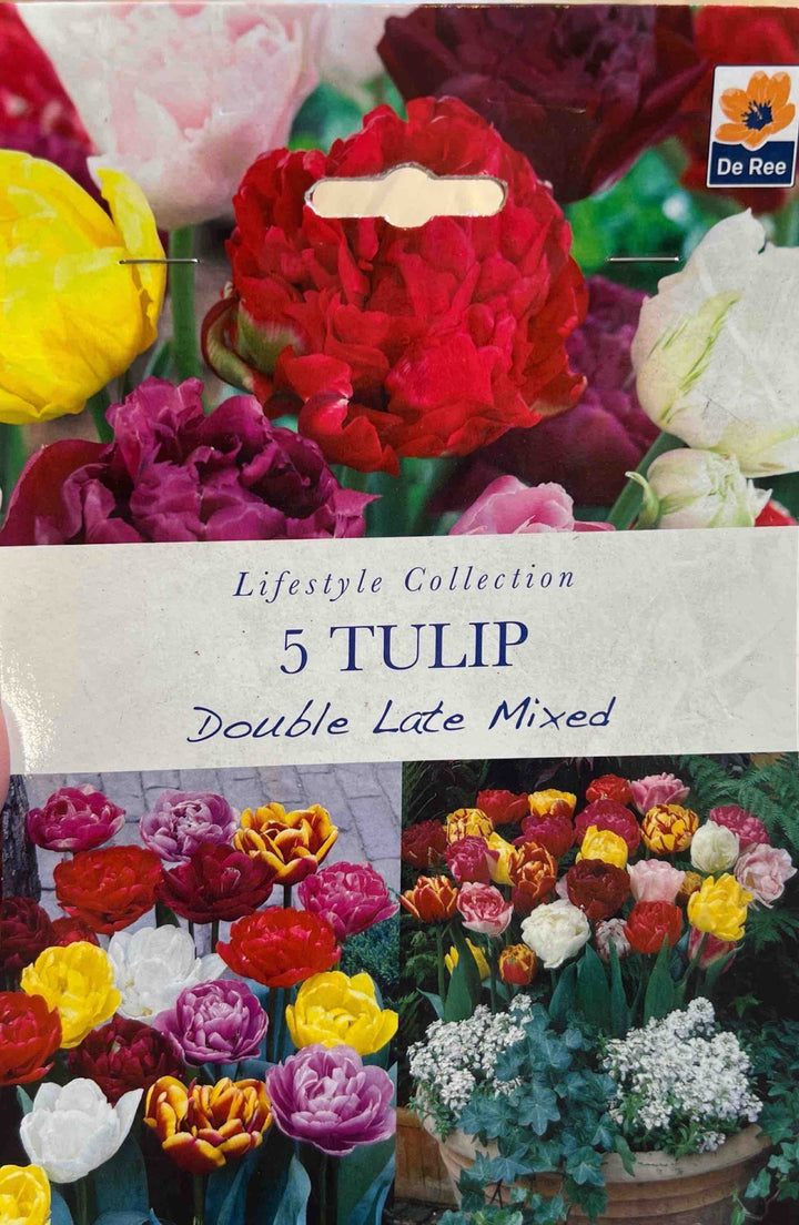 Spring Bulbs – Mix & Match | £3.99 each or 3 for £10