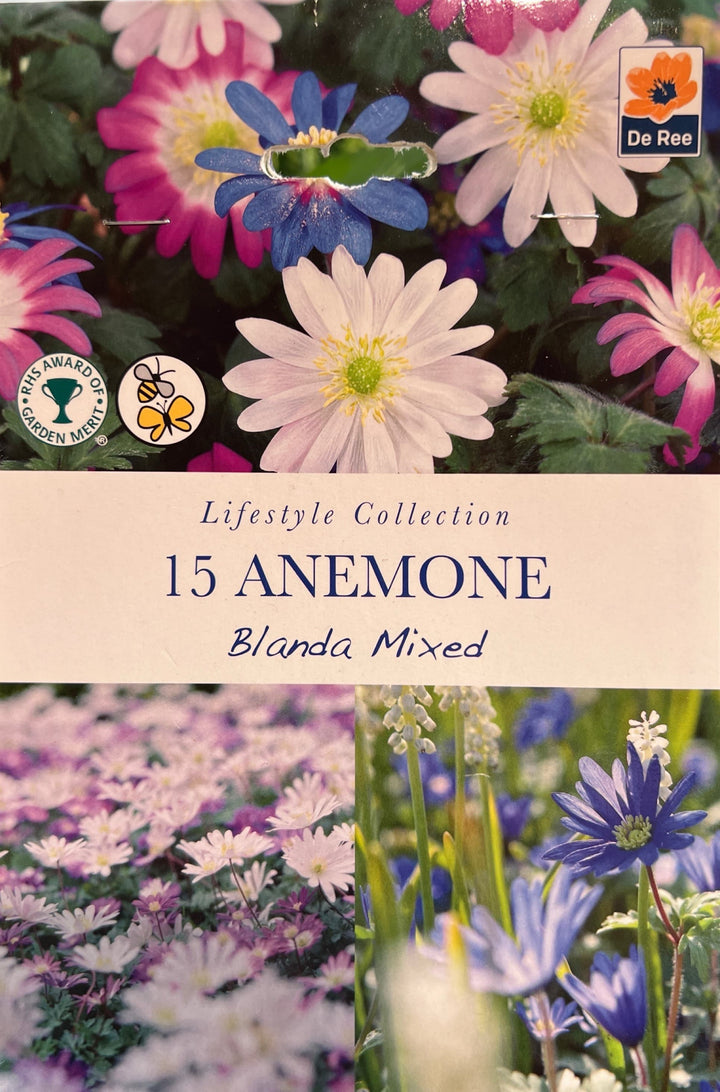 Spring Bulbs – Mix & Match | £3.99 each or 3 for £10