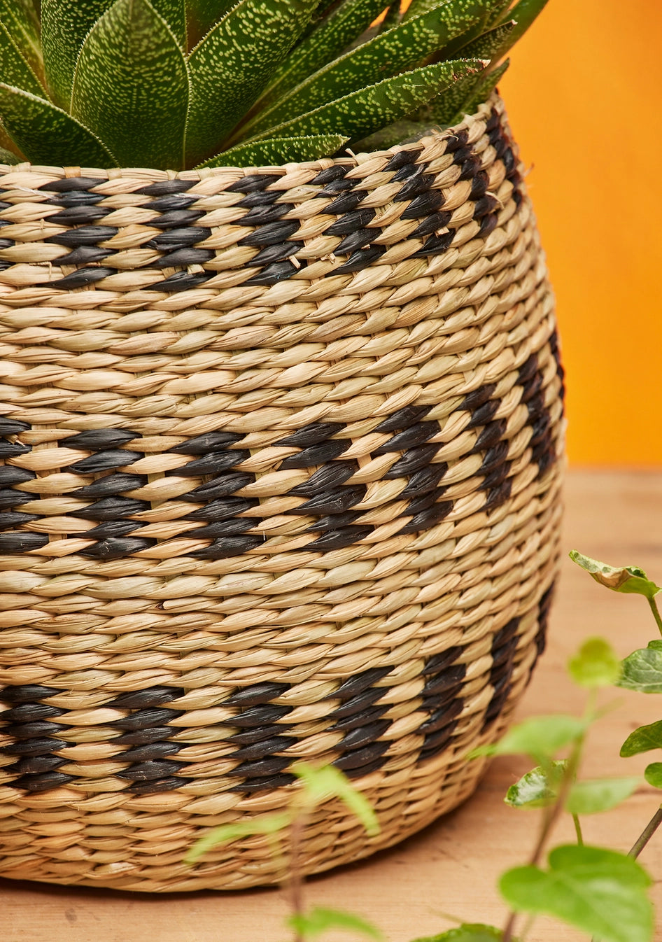 Black Natural Seagrass Planter