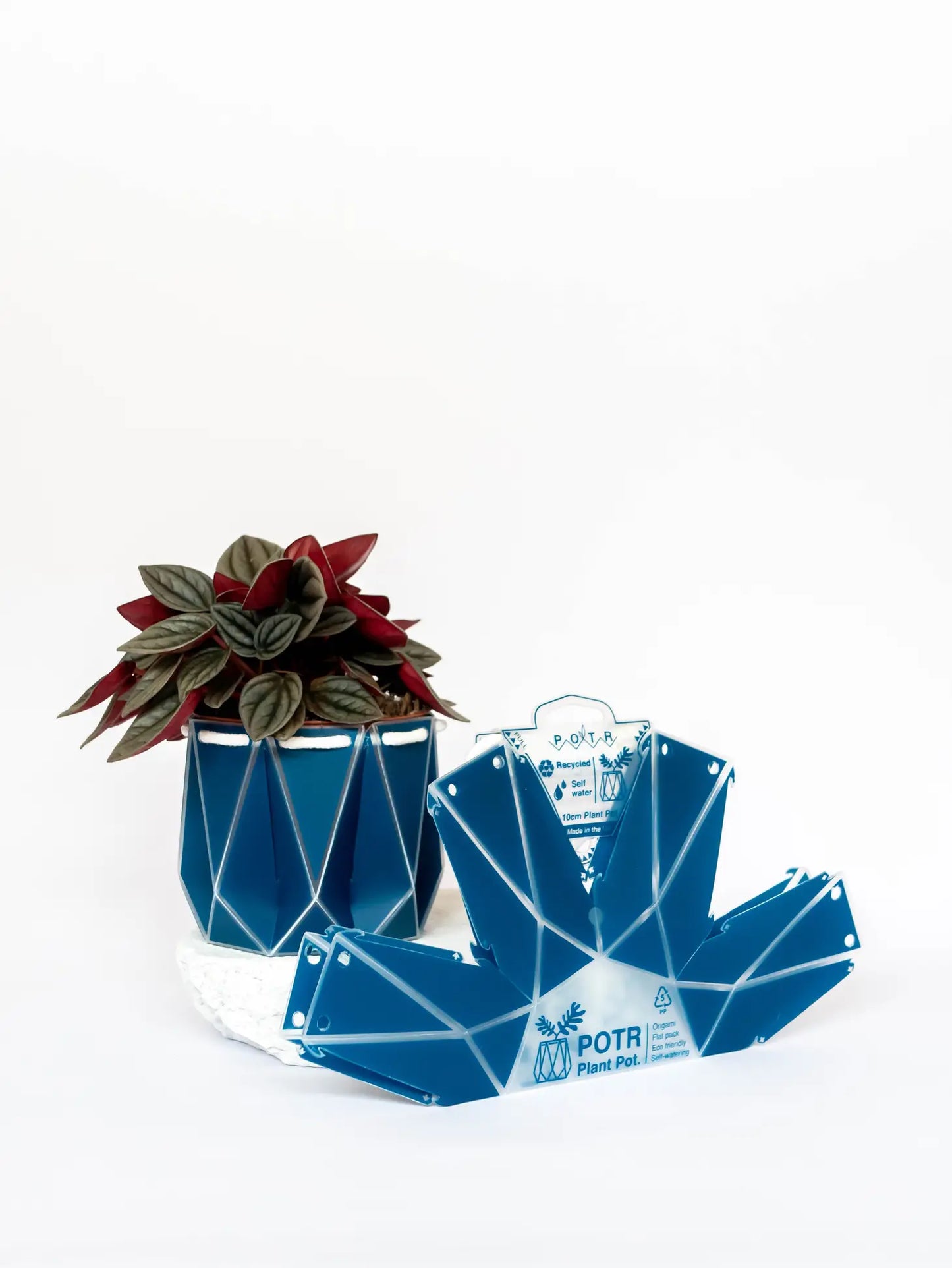 POTR | Navy Pot