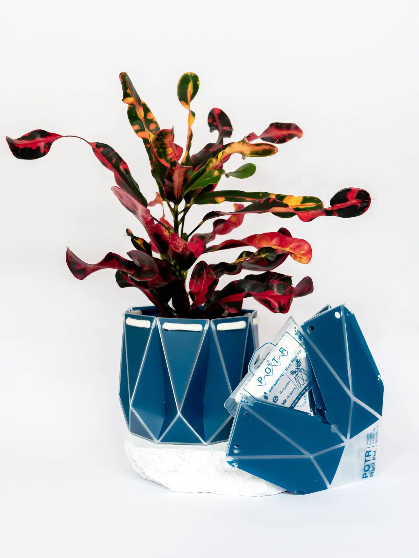 POTR | Navy Pot