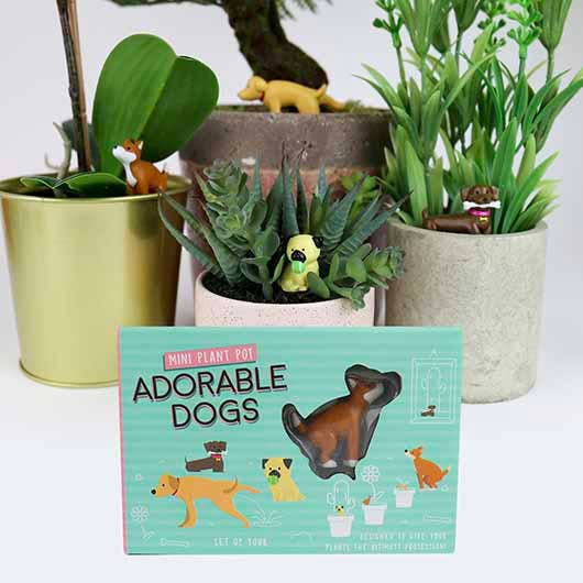 dog pot plant Adorable Dogs