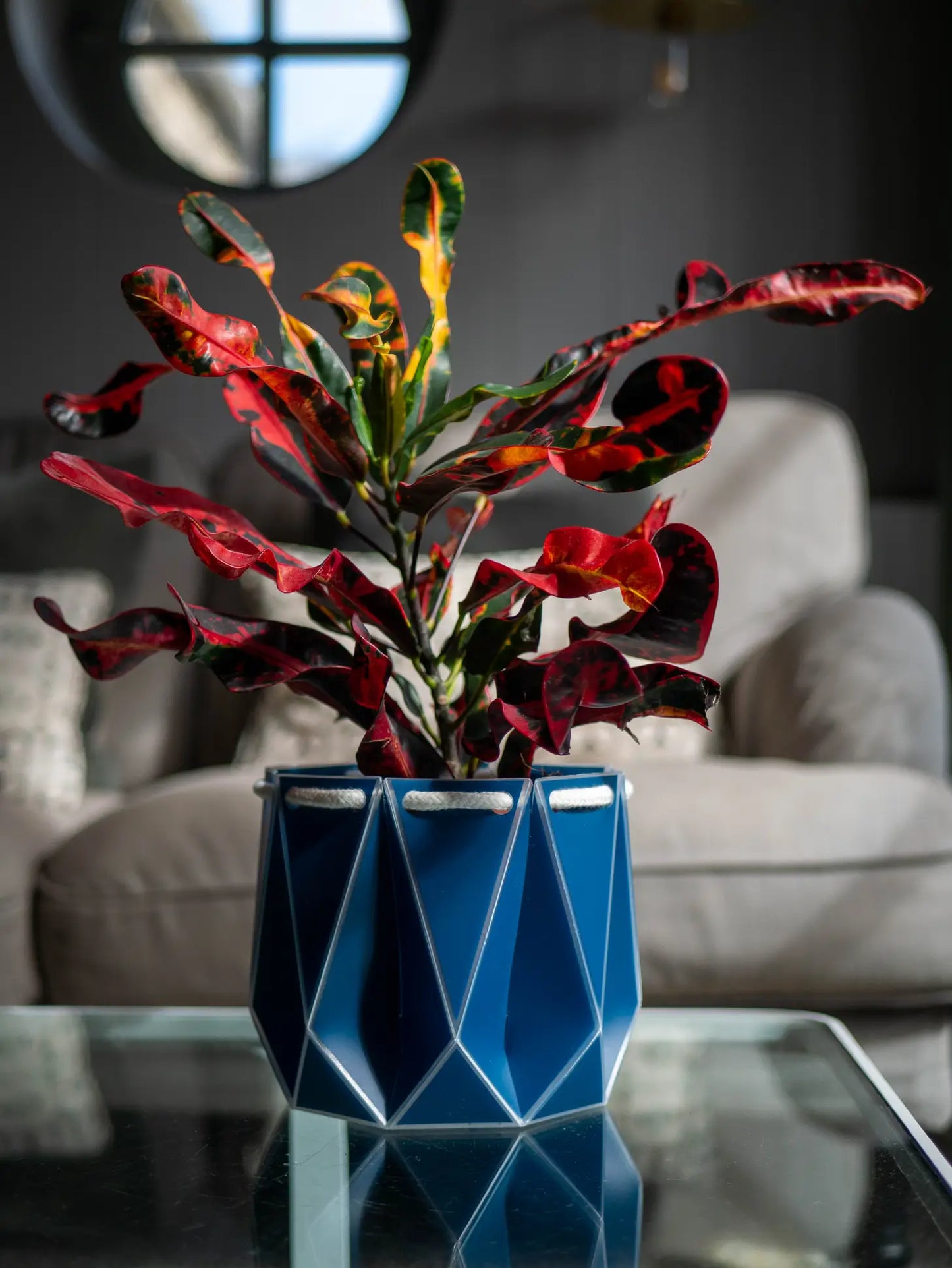 POTR | Navy Pot
