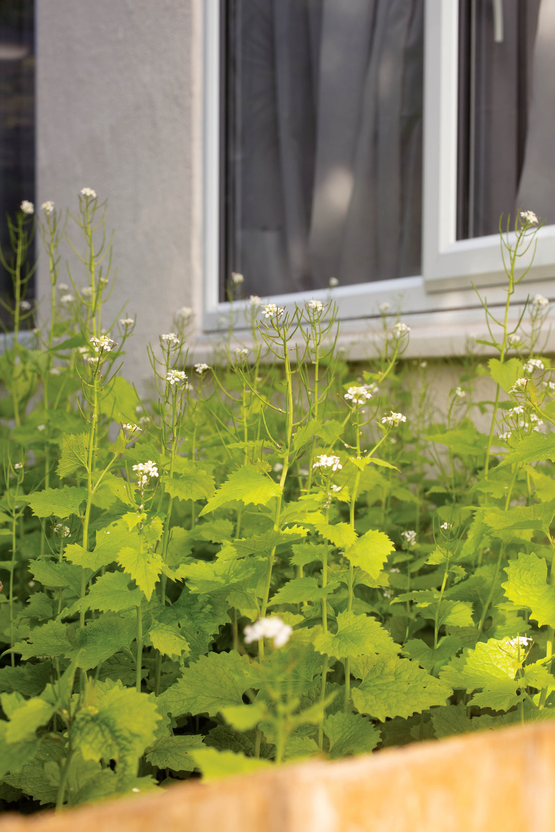 Prepare for Spring - for inside and out!