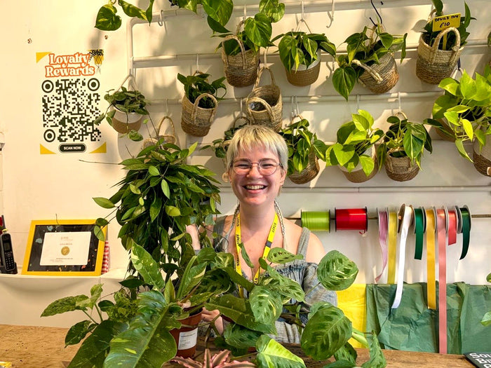 Staff Spotlight- Daisy's Top Picks