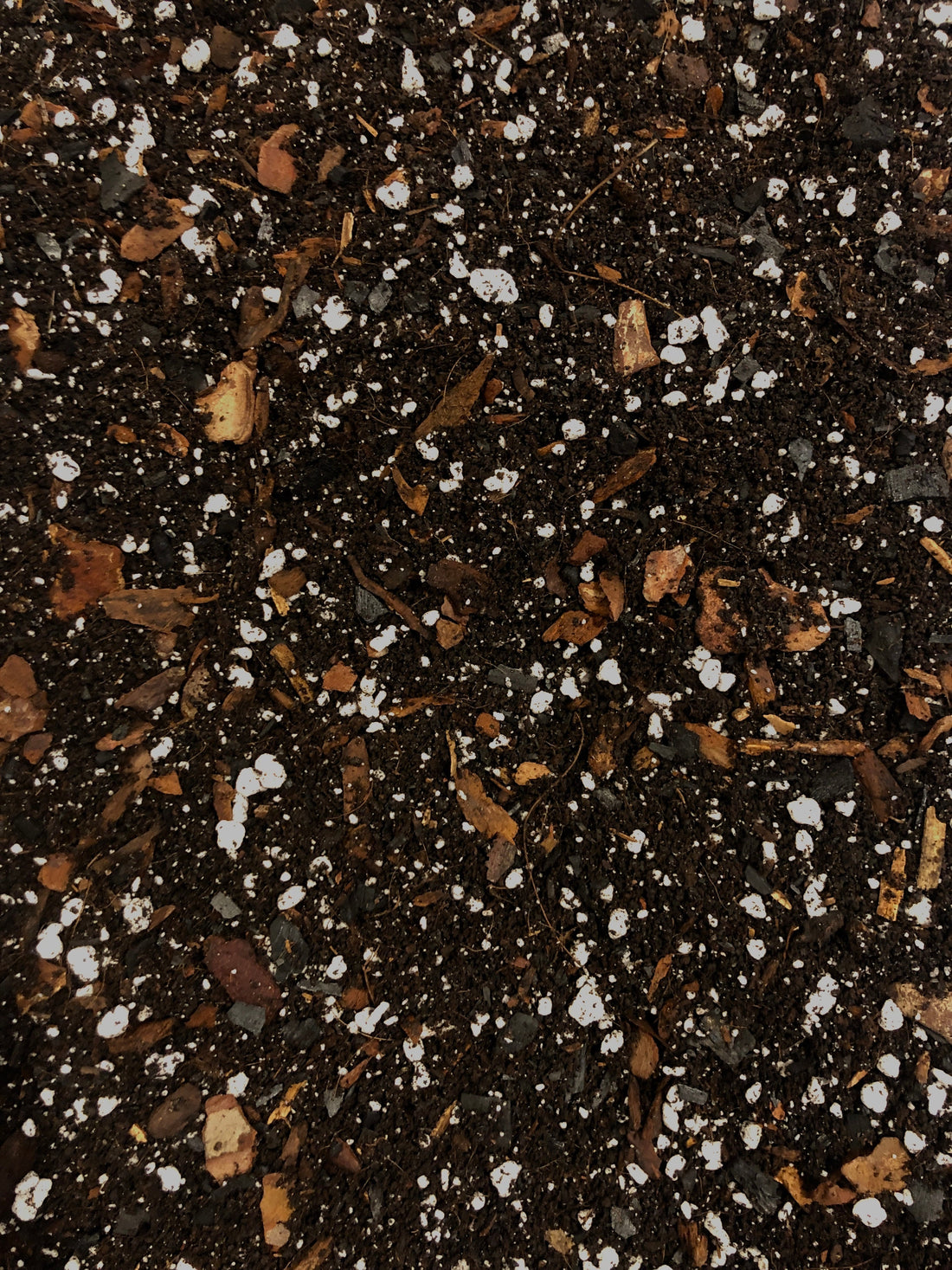 The Ultimate Guide to Houseplant Soil – Choosing the Right Mix for Repotting Season