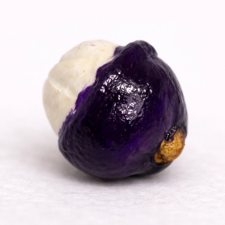 Mini Ceramic Fruit and Vegetable - lucky dip