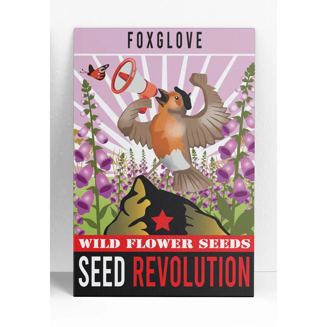 Foxglove Wildflower Seeds – Native Cottage Garden Favourite