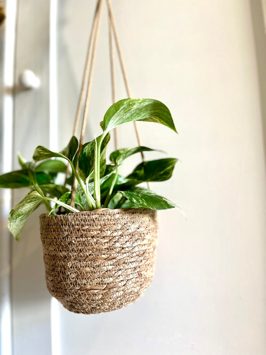 Seagrass Laos Straw Hanging basket