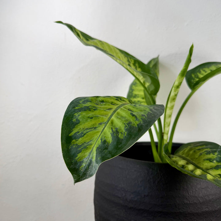 Handmade Black Ribbed Pot – 25 cm