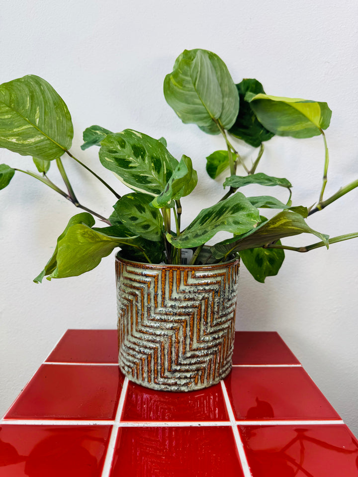 Textured Reactive Glaze Ceramic Pot – 14cm