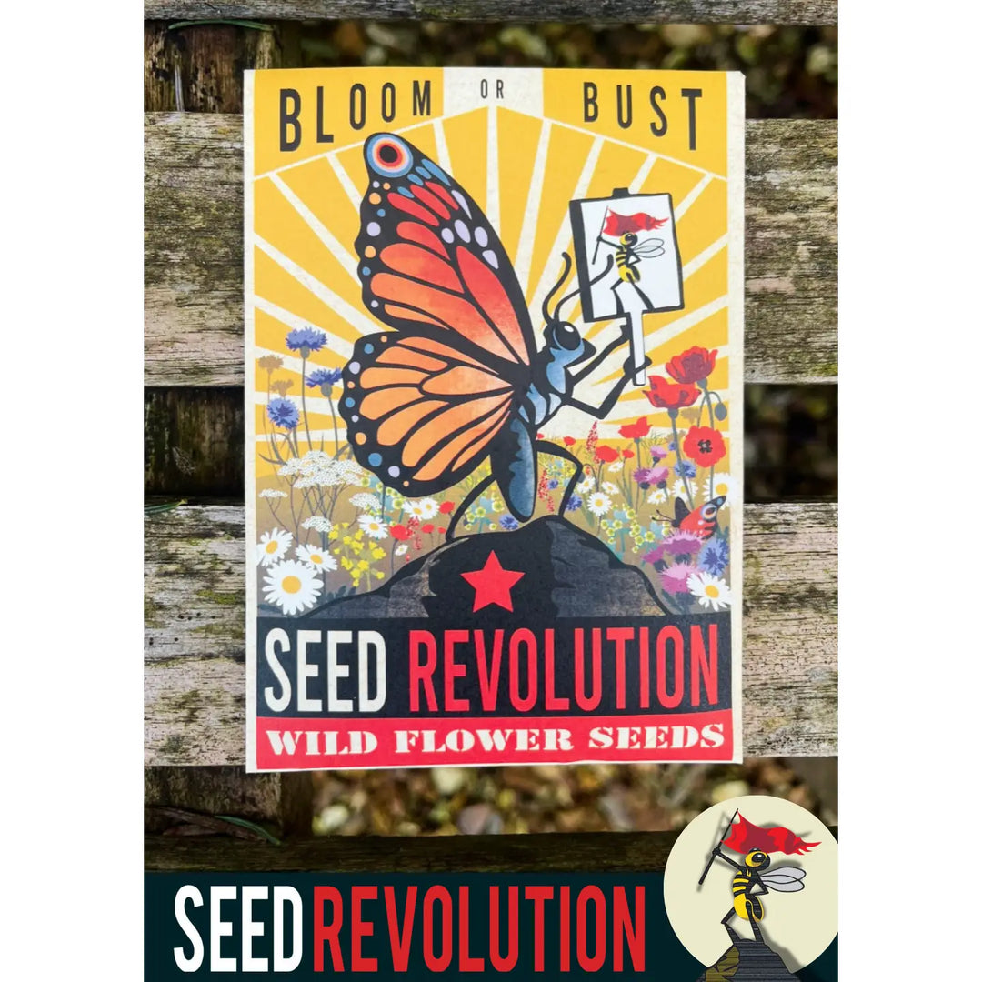 Wildflower Seed Packets - Bloom or Bust