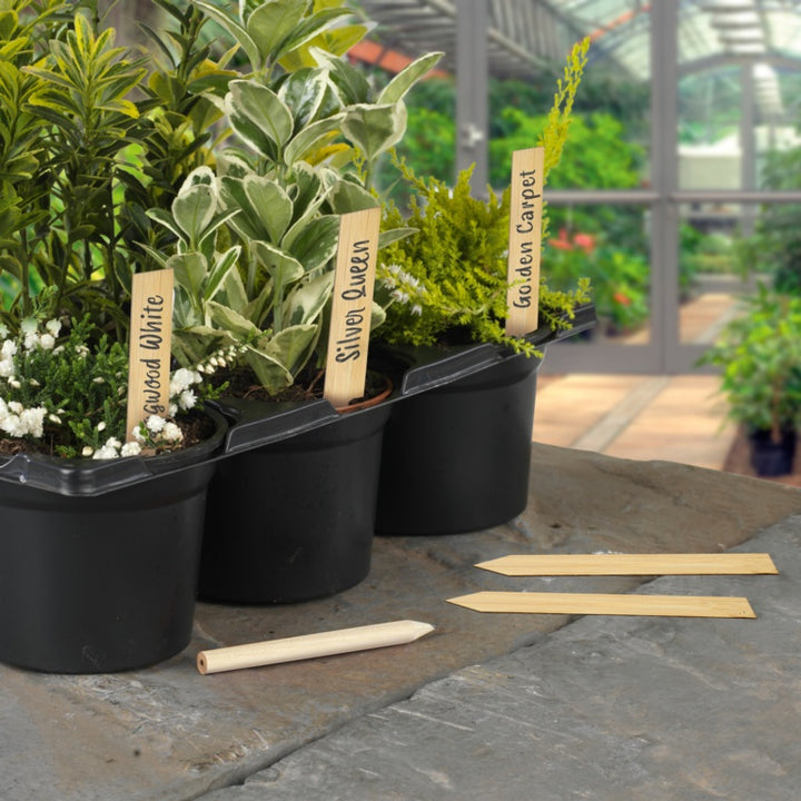 Bamboo Plant Labels & Pencil 10 Piece 4"