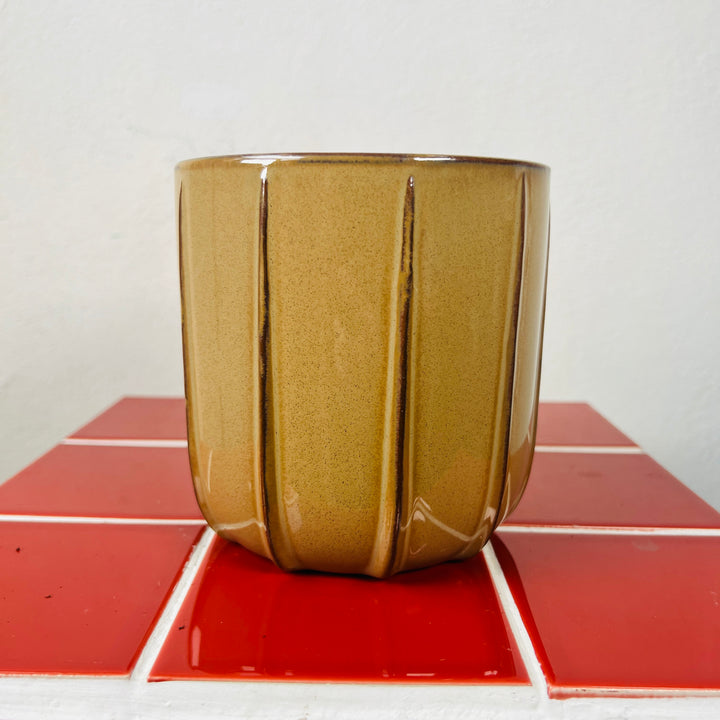 Mimesis Textured Ceramic Plant Pot | Indoor Planter
