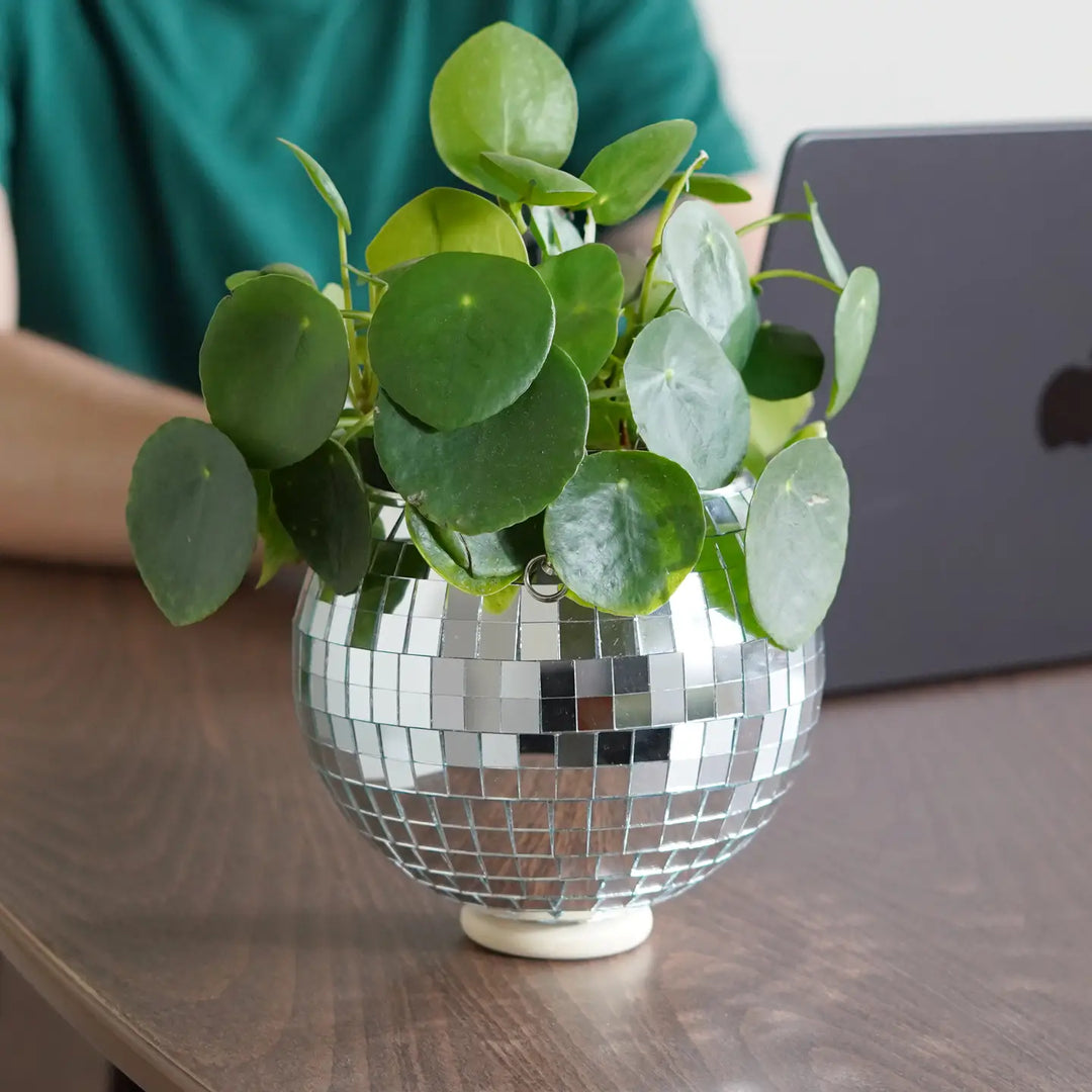 Disco Ball Hanging Planter – 6" or 8"