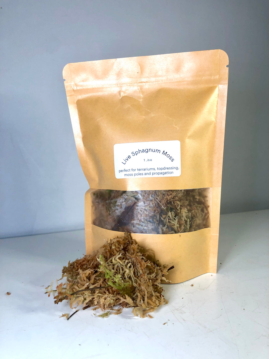 Live Sphagnum Moss - Sphagnum platyphyllum