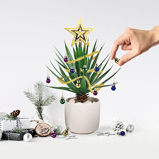 Festive Christmas Plant Baubles