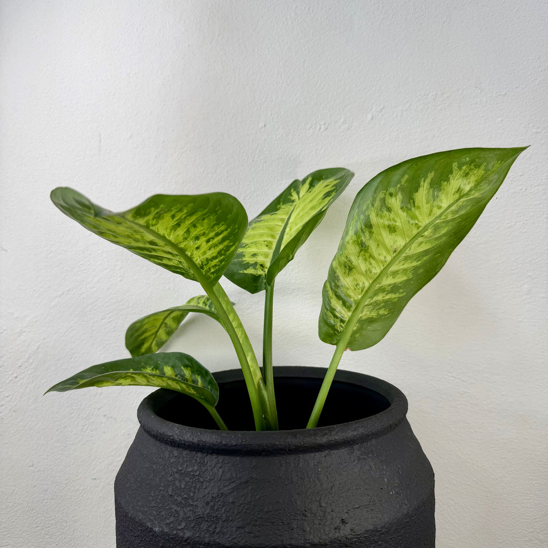 Handmade Black Textured Pot – 25 cm