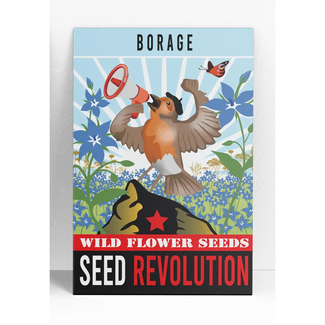 Borage Wildflower Seeds – Edible Pollinator Garden Favourite