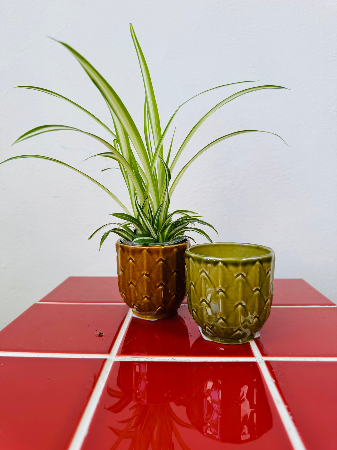 Mini Textured Glazed Ceramic Pot