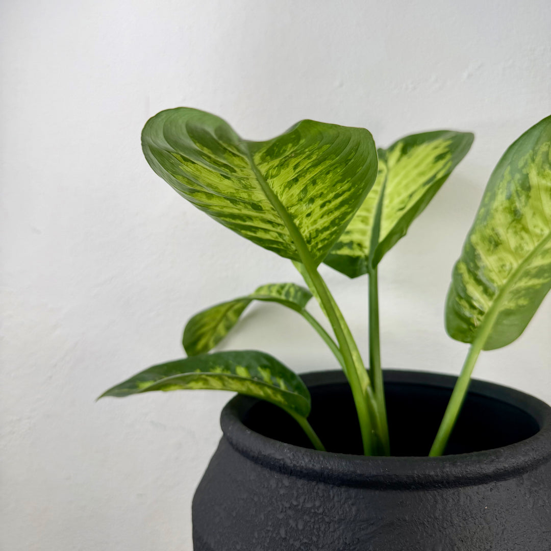 Handmade Black Textured Pot – 25 cm