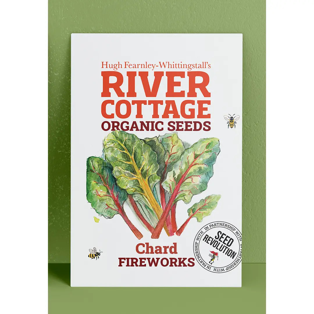 Organic Chard Seeds Fireworks | River Cottage Colour Mix