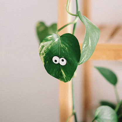 Glow Eyes 4-pack - 🌱 Plant Magnet 🧲