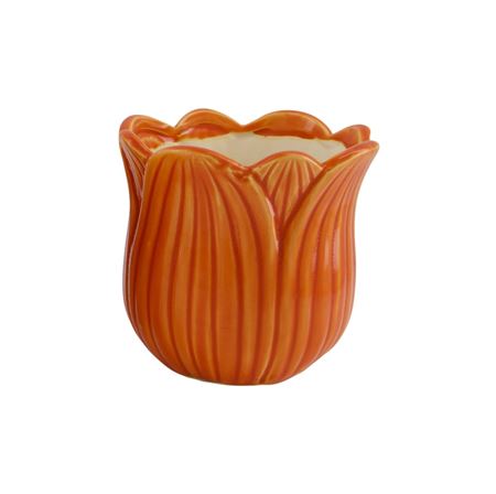 Tulip pot