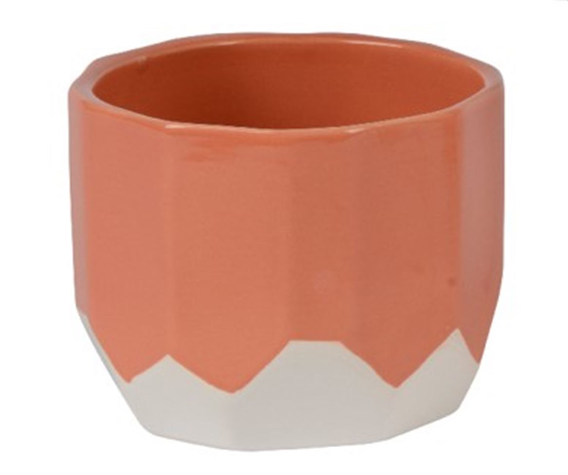 Plant Pots